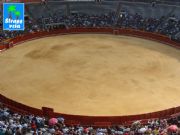 Plaza de toros. Valencia, Comunidad Valenciana